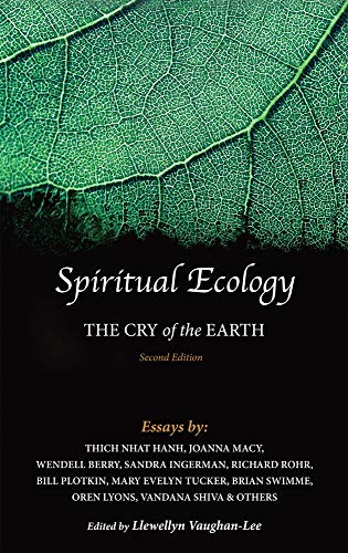 Algopix Similar Product 13 - Spiritual Ecology: The Cry of the Earth