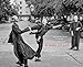 Algopix Similar Product 6 - A Way of Life Zen Monastics at Work