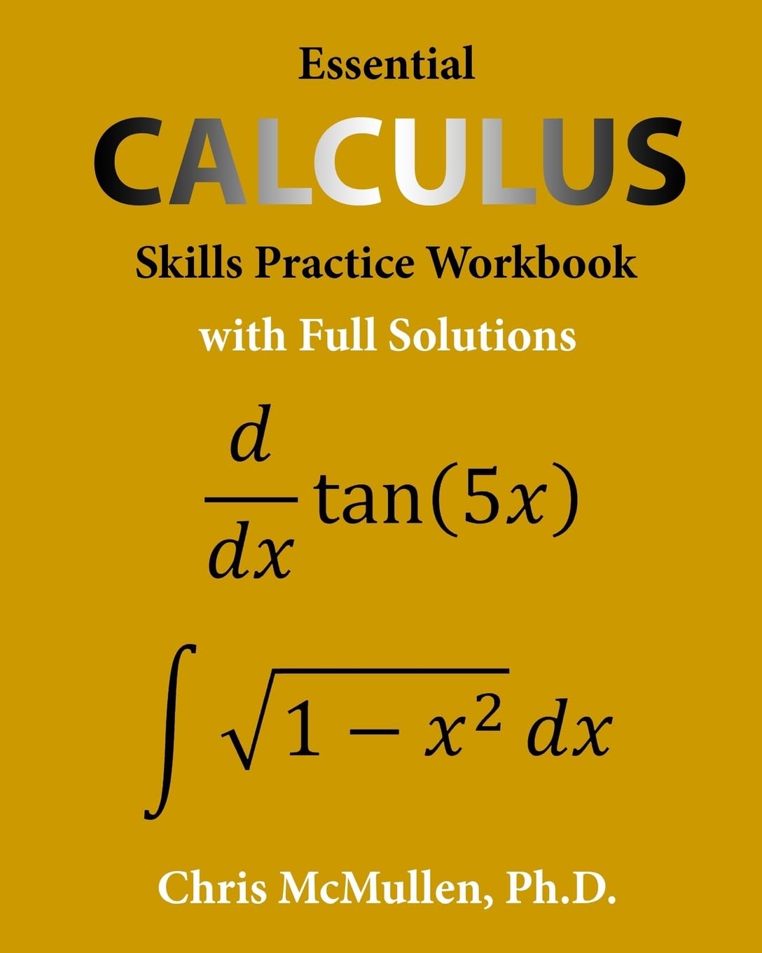 Algopix Similar Product 14 - Essential Calculus Skills Practice