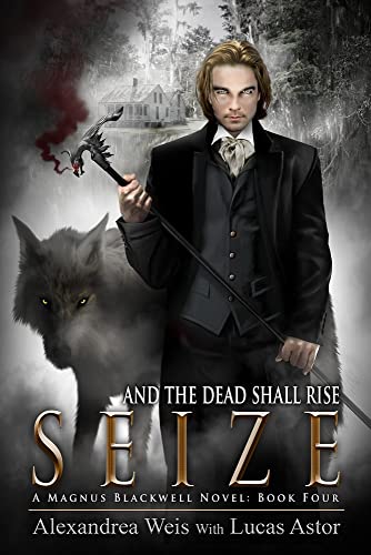 Algopix Similar Product 16 - Seize (A Magnus Blackwell Novel Book 4)