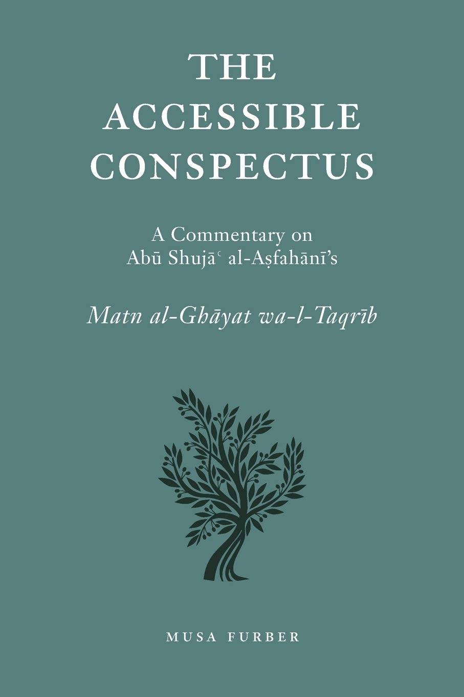 Algopix Similar Product 2 - The Accessible Conspectus