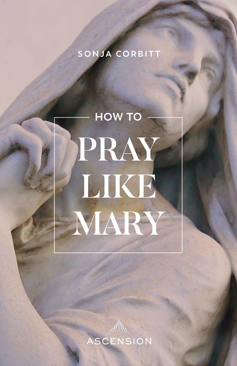 Algopix Similar Product 7 - How to Pray Like Mary