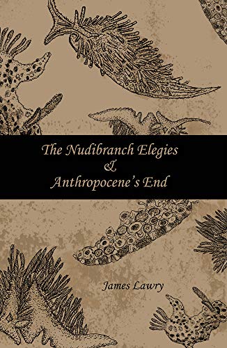 Algopix Similar Product 11 - The Nudibranch Elegies Anthropocenes