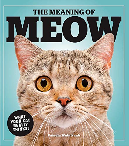 Algopix Similar Product 8 - The Meaning of Meow What Your Cat