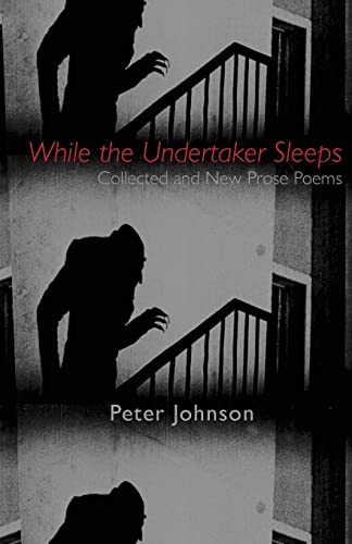 Algopix Similar Product 13 - While the Undertaker Sleeps