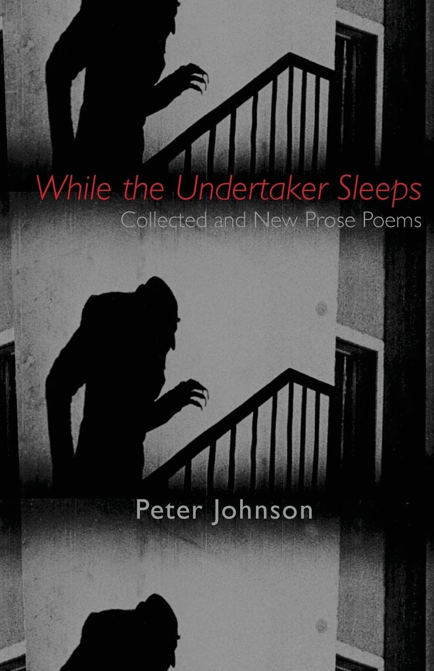Algopix Similar Product 8 - While the Undertaker Sleeps