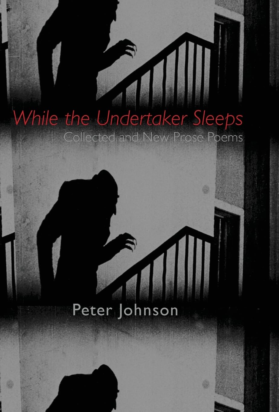 Algopix Similar Product 10 - While the Undertaker Sleeps