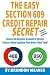 Algopix Similar Product 17 - The Easy Section 609 Credit Repair