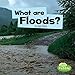 Algopix Similar Product 15 - What Are Floods? (Wicked Weather)