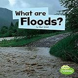 Algopix Similar Product 10 - What Are Floods? (Wicked Weather)