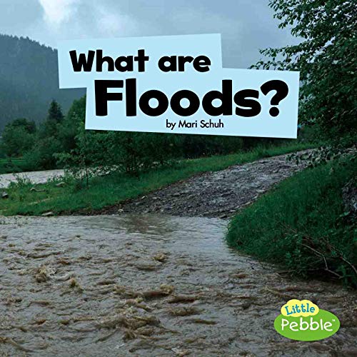 Algopix Similar Product 3 - What Are Floods? (Wicked Weather)