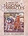 Algopix Similar Product 11 - A Pair of Sedona Miracles Life As Seen