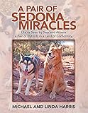 Algopix Similar Product 16 - A Pair of Sedona Miracles Life As Seen