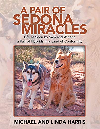 Algopix Similar Product 13 - A Pair of Sedona Miracles Life As Seen