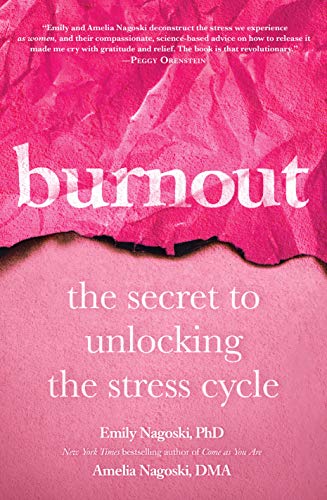Algopix Similar Product 7 - Burnout The Secret to Unlocking the