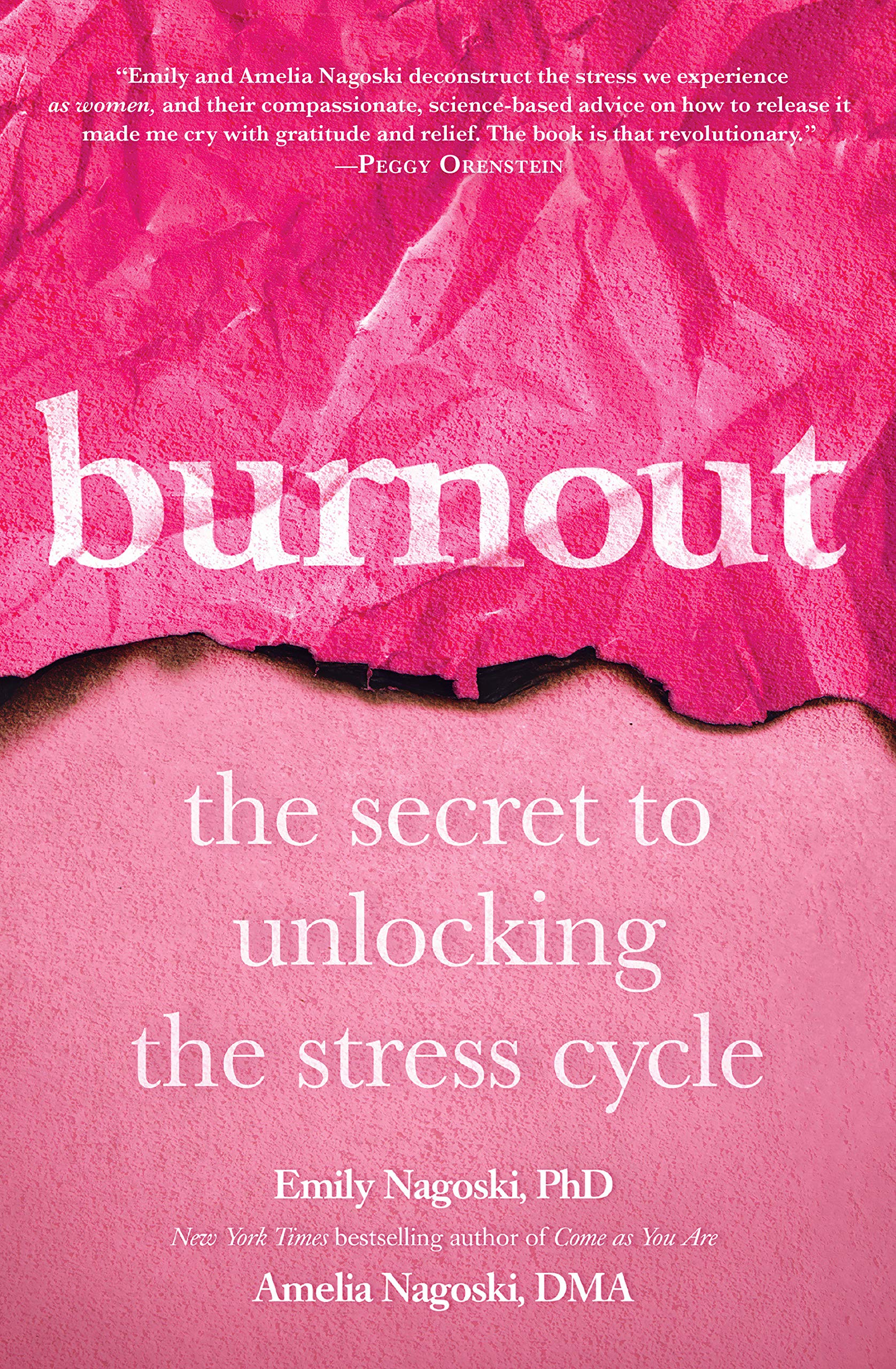 Algopix Similar Product 10 - Burnout The Secret to Unlocking the