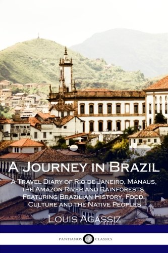 Algopix Similar Product 18 - A Journey in Brazil A Travel Diary of