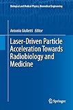 Algopix Similar Product 8 - LaserDriven Particle Acceleration
