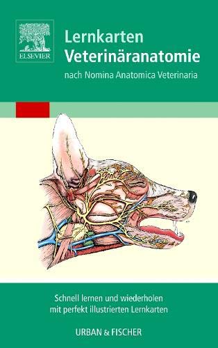 Algopix Similar Product 9 - Lernkarten VeterinaranatomieVeterinary