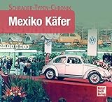 Algopix Similar Product 17 - Mexiko Käfer