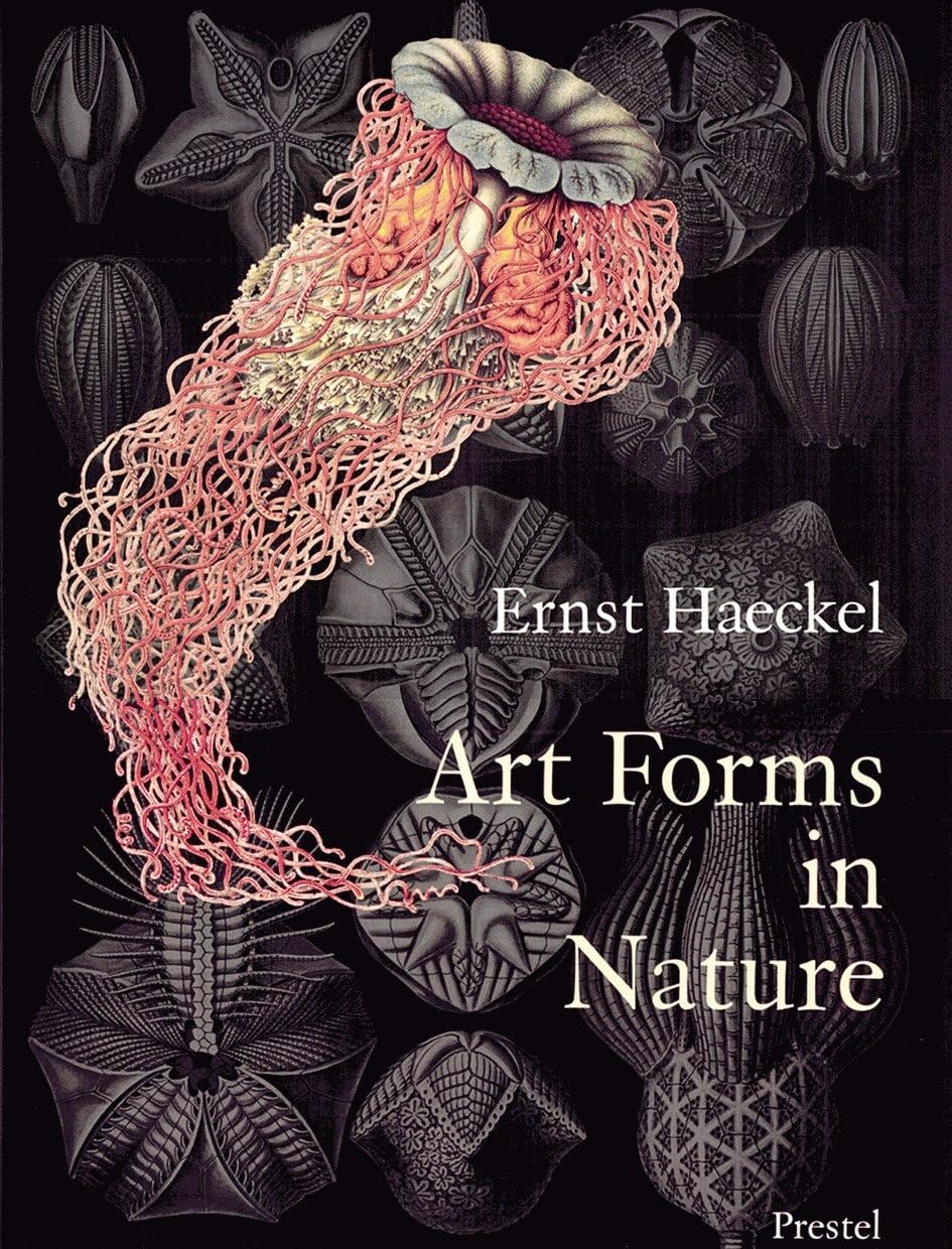 Algopix Similar Product 6 - Art Forms in Nature The Prints of