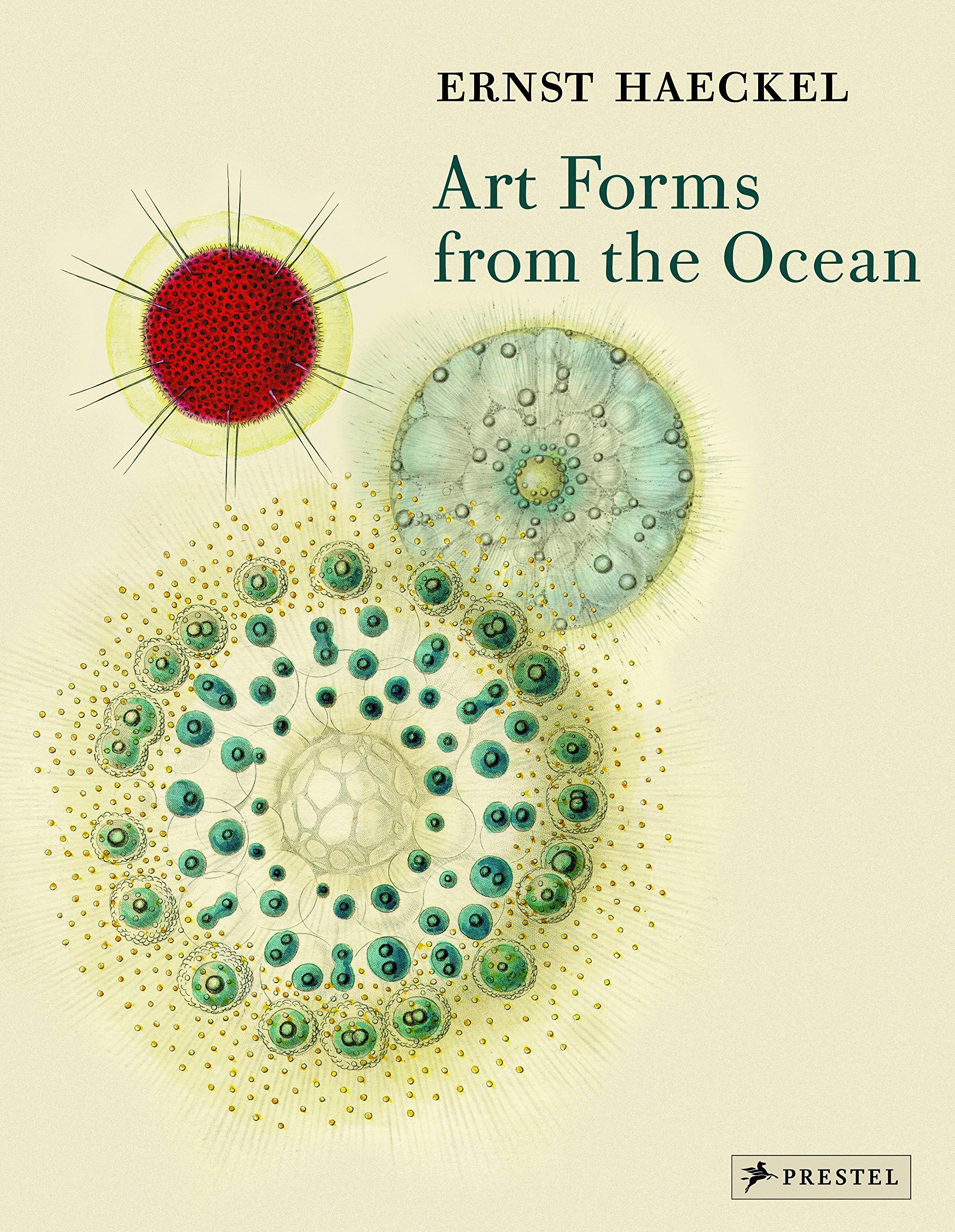 Algopix Similar Product 4 - Art Forms from the Ocean The