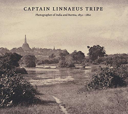 Algopix Similar Product 1 - Captain Linnaeus Tripe Photographer of