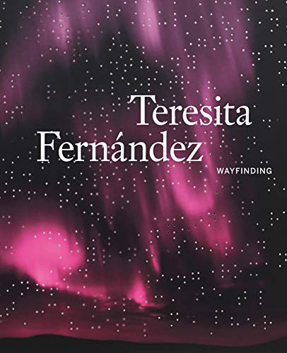 Algopix Similar Product 19 - Teresita Fernández: Wayfinding