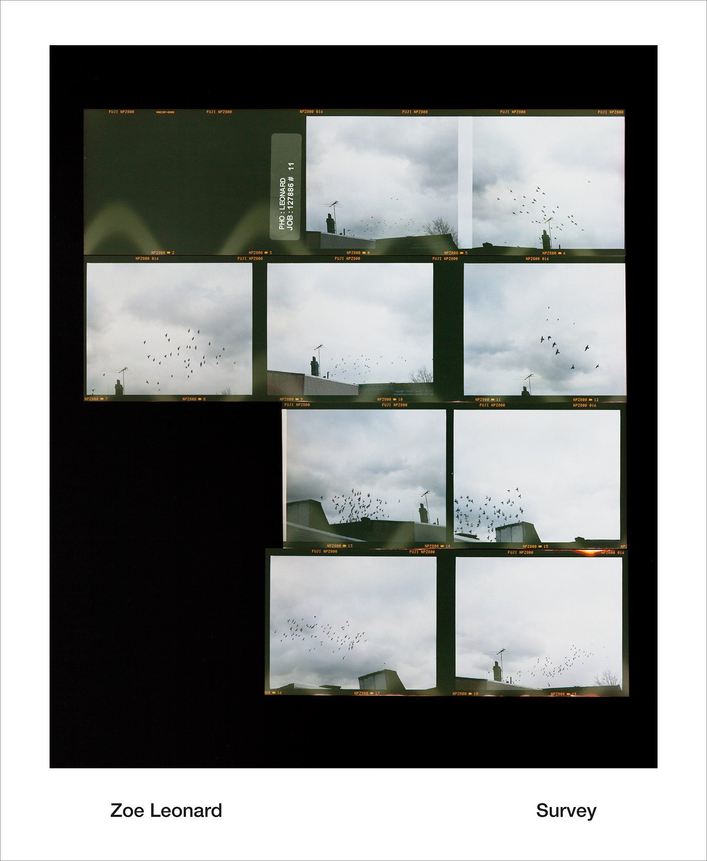 Algopix Similar Product 16 - Zoe Leonard: Survey