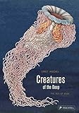 Algopix Similar Product 17 - Creatures of the Deep: The Pop-up Book