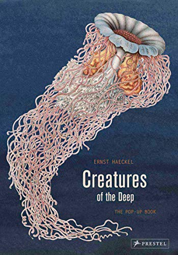 Algopix Similar Product 7 - Creatures of the Deep: The Pop-up Book