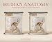 Algopix Similar Product 6 - Human Anatomy Stereoscopic Images of