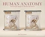 Algopix Similar Product 4 - Human Anatomy Stereoscopic Images of