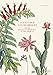 Algopix Similar Product 6 - Alexander von Humboldt The Botanical
