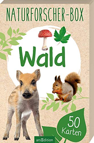 Algopix Similar Product 6 - Naturforscher-Box - Wald: mit 50 Karten