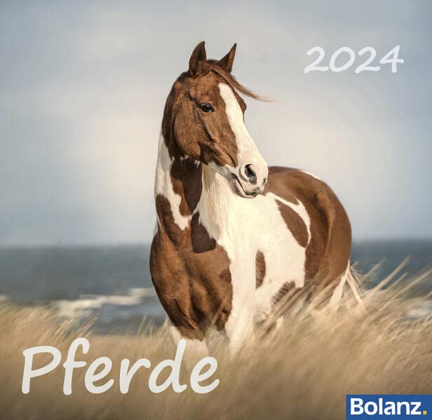 Algopix Similar Product 17 - Horses 2024
