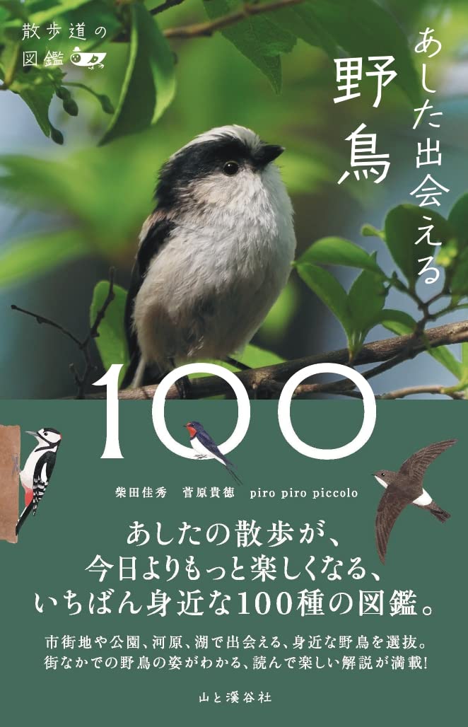 Algopix Similar Product 8 - 散歩道の図鑑 あした出会える野鳥100