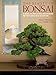 Algopix Similar Product 20 - The Beauty of Bonsai A Guide to