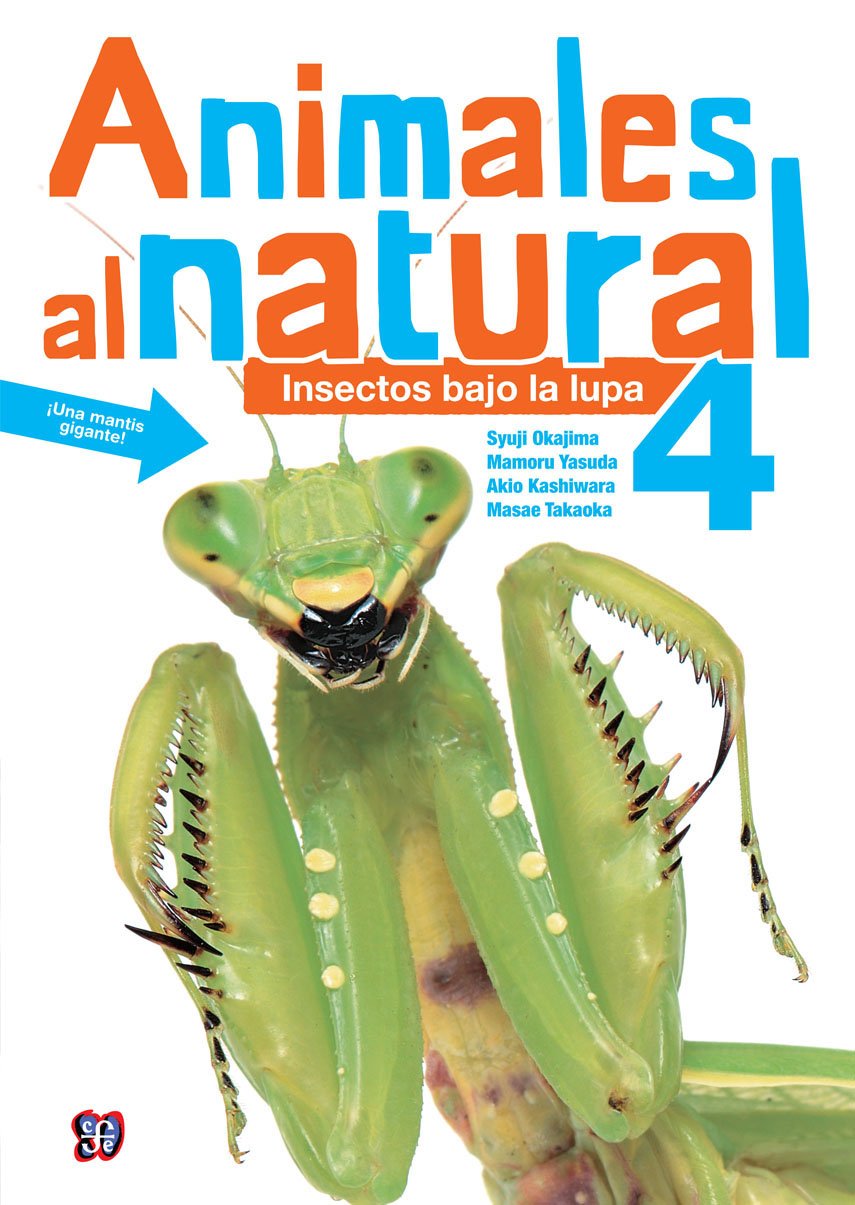 Algopix Similar Product 17 - Animales al natural 4 Insectos bajo la