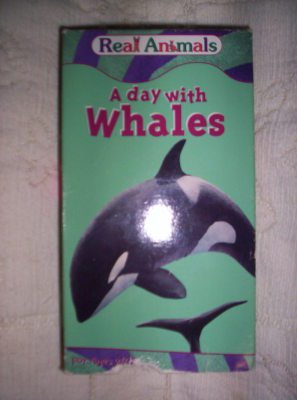 Algopix Similar Product 11 - Real Animals: Day With Whales [VHS]