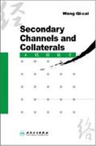 Algopix Similar Product 5 - Scondary Channels and Collaterals