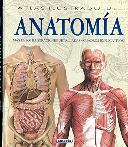 Algopix Similar Product 2 - Atlas ilustrado de anatoma Spanish