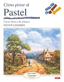 Algopix Similar Product 16 - CMO PINTAR AL PASTEL Aprender Creando