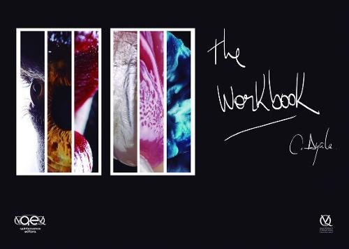 Algopix Similar Product 16 - The Workbook