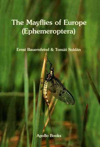 Algopix Similar Product 18 - The Mayflies of Europe: (Ephemeroptera)