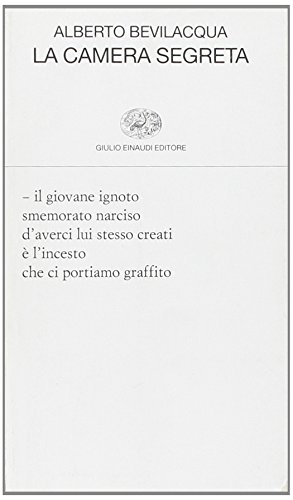 Algopix Similar Product 11 - La camera segreta
