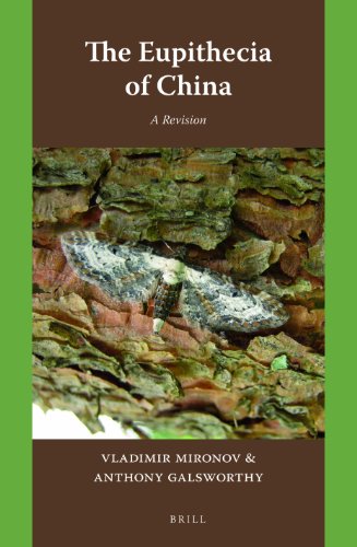 Algopix Similar Product 17 - The Eupithecia of China: A Revision