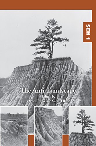 Algopix Similar Product 5 - The AntiLandscape Studies in