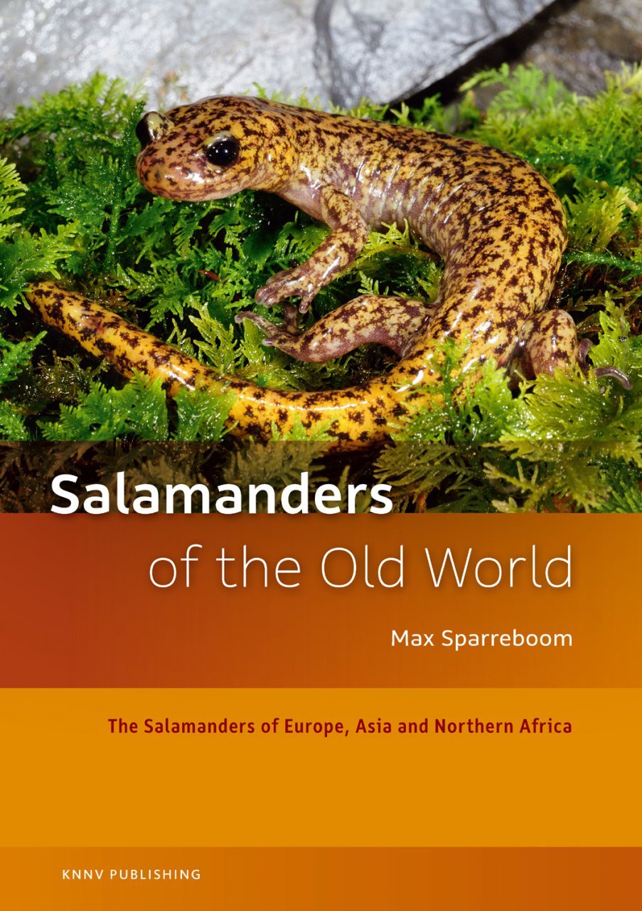 Algopix Similar Product 6 - Salamanders of the Old World The