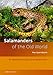Algopix Similar Product 20 - Salamanders of the Old World The
